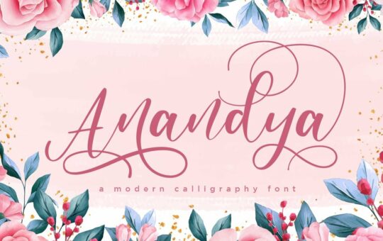 Anandya-Calligraphy-Script-Font.jpg