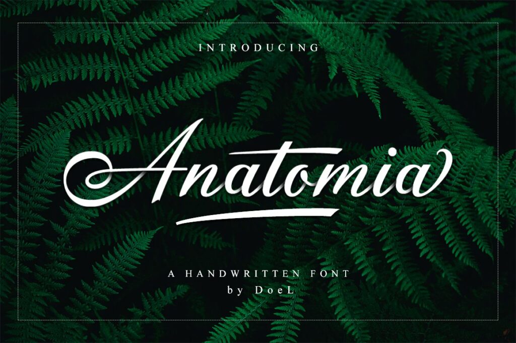 Anatomia-Font.jpg