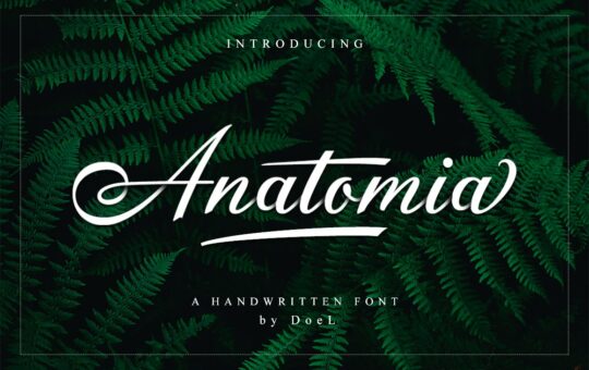 Anatomia-Font.jpg