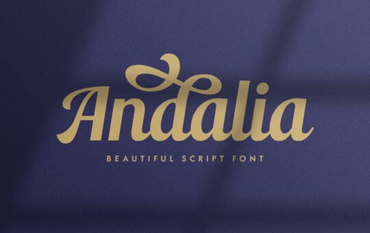 Andalia-Modern-Script-Font-1.jpg