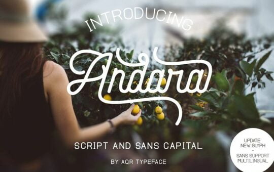 Andara-Script-Font.jpg