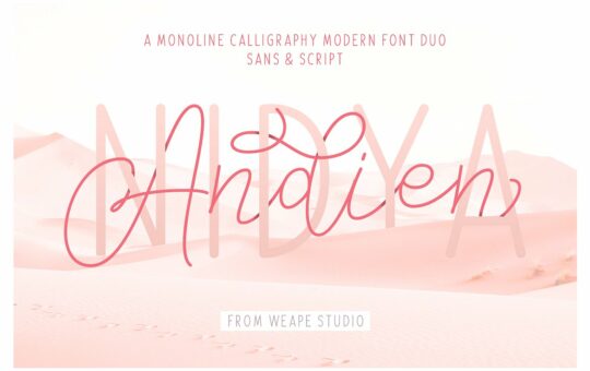 Andien-Nidya-Script-Font.jpg