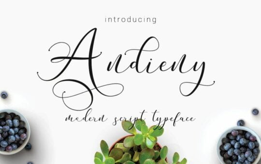 Andieny-Script-Font.jpg