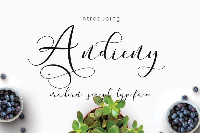 Andieny-Script-Font.jpg