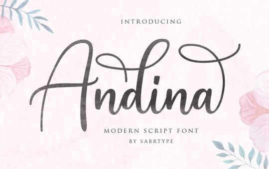 Andina-Script-Font.jpg