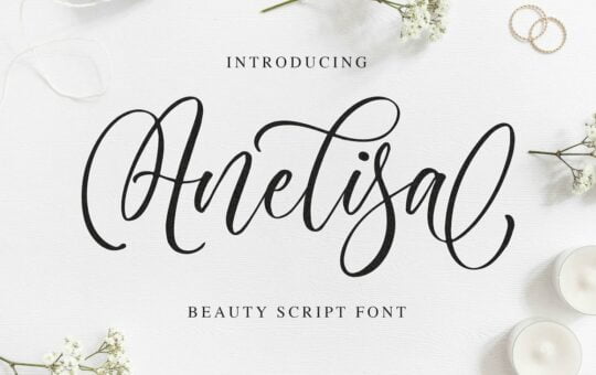 Anelisa-Calligraphy-Script-Font-1.jpg