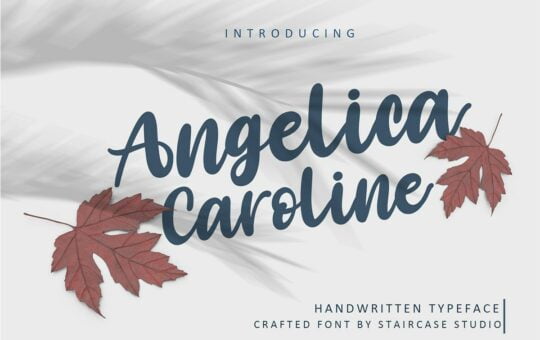 Angelica-Caroline-Handwritten-Script-Typeface.jpg
