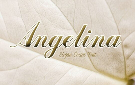 Angelina-Font.jpg