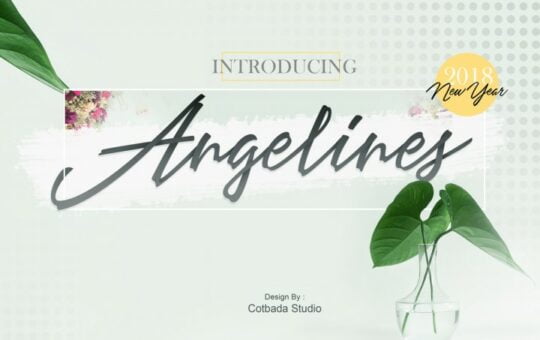 Angelines-Script-Font.jpg