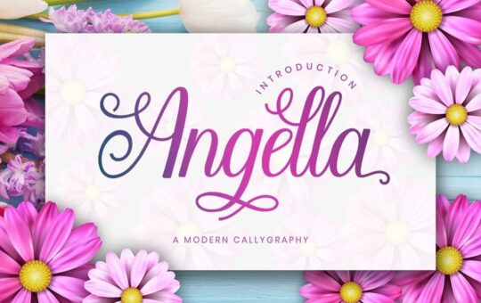 Angella-Calligraphy-Script-Font.jpg