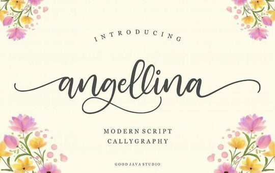 Angellina-Script-Font.jpg