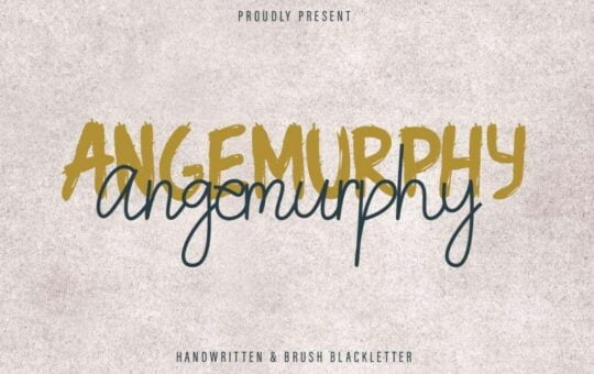 Angemurphy-Script-Font-Duo-1.jpg