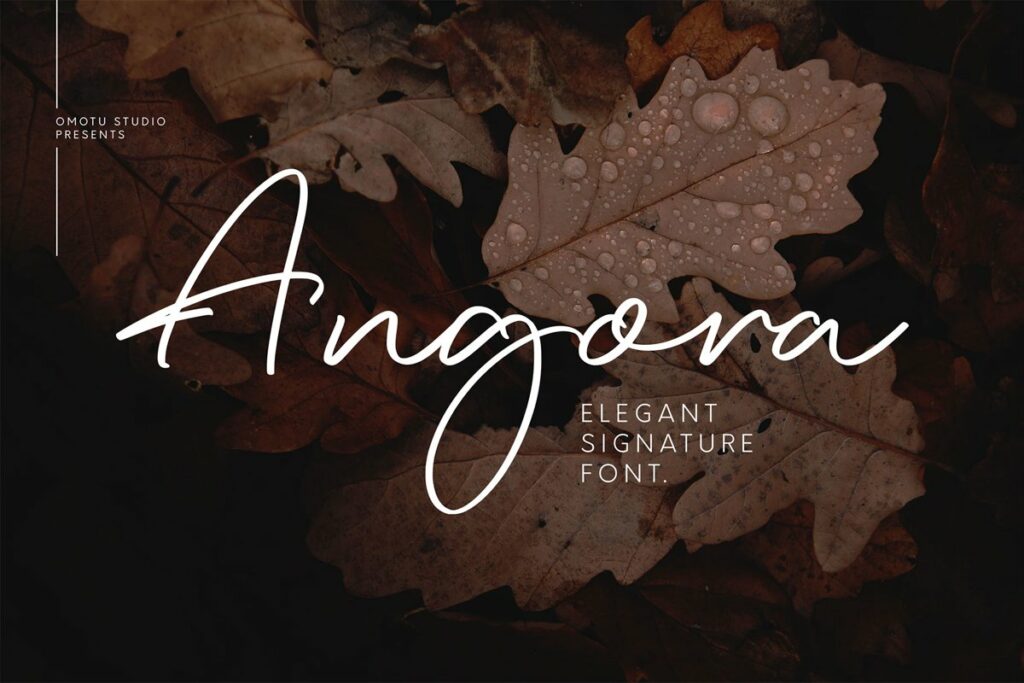 Angora-Script-Handwritten-Font-1.jpg