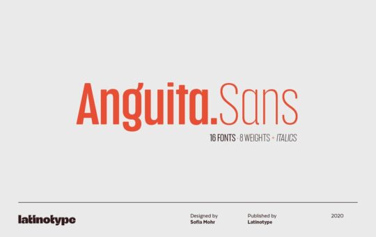 Anguita-Sans-Font-Family.jpg