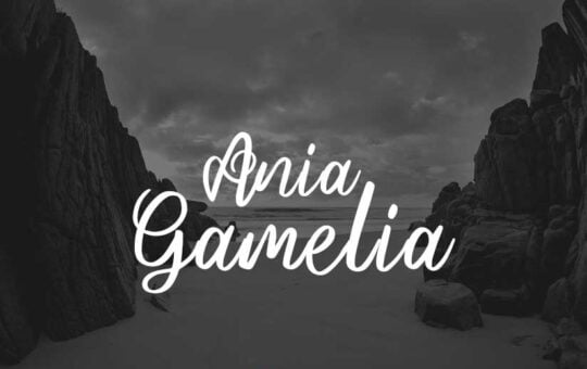Ania-Gamelia-Handlettering-Script-Font-1.jpg