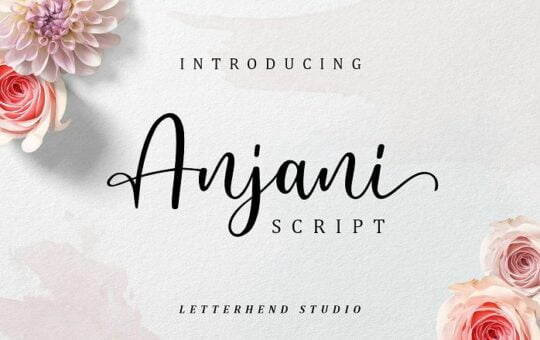 Anjani-Script-Font.jpg