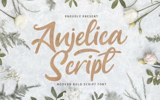 Anjelica-Bold-Script-Font-1.jpg