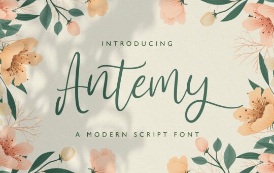 Antemy-Modern-Calligraphy-Font-1.jpg