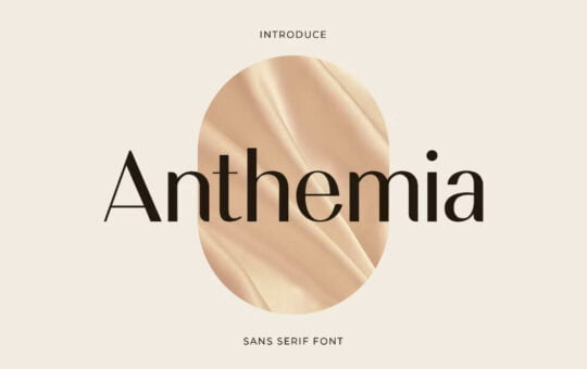 Anthemia-Sans-Serif-Font-1.jpg