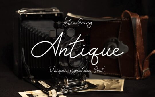 Antique-Monoline-Script-Font-1.jpg