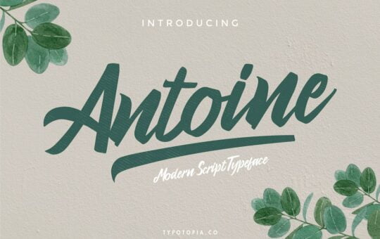 Antoine-Brush-Script-Font-1.jpg