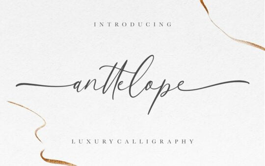 Anttelope-Calligraphy-Font-1.jpg