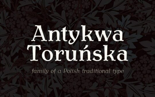Antykwa-Torunska-1.jpg