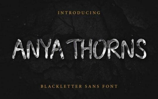 Anya-Thorns-Grunge-Font.jpg