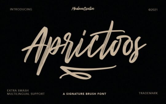 Aprictoos-Signature-Brush-Font-1.jpg
