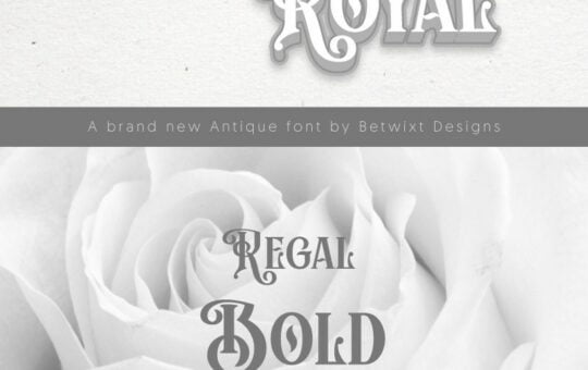 Archibold-Royal-Display-Font-1.jpg
