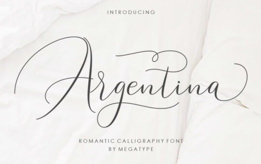 Argentina-Script-Font.jpg
