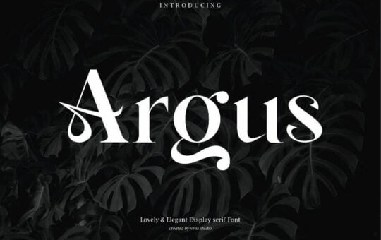 Argus-Elegant-Serif-Font-1.jpg