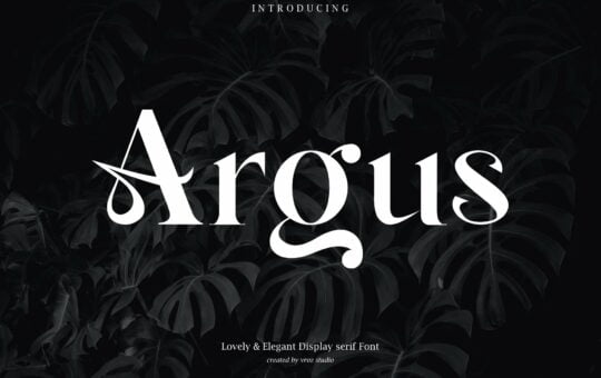 Argus-Serif-Font.jpg