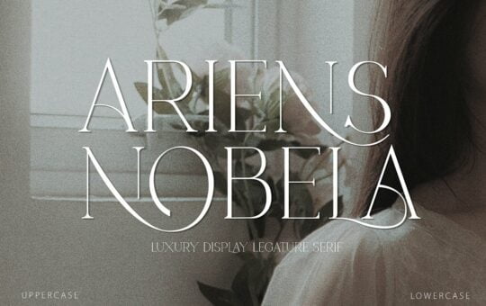 Ariens-Nobela-Font.jpg