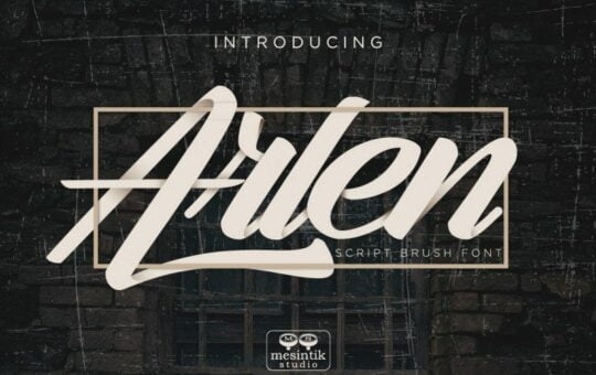 Arlen-Script-Font-1.jpg