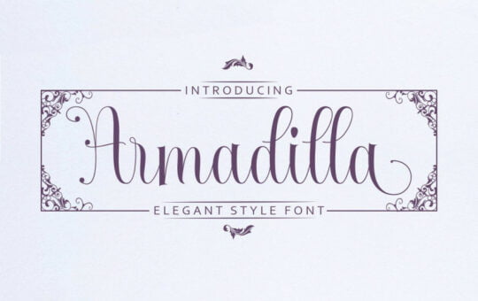 Armadilla-Script-Font.jpg