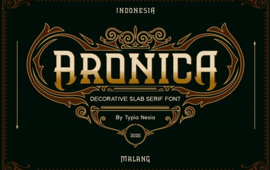 Aronica-Slab-Serif-Font-1.jpg
