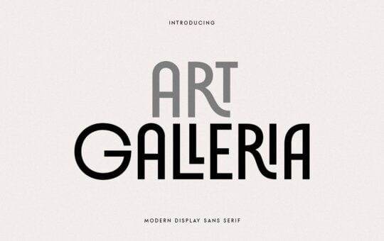 Art-Galleria-Modern-Display-Sans-Font-1.jpg