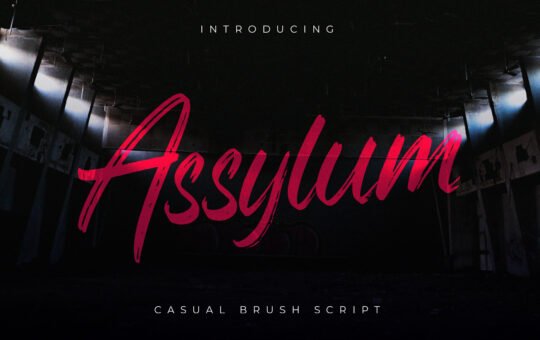 Assylum-Brush-Script-Font-1.jpg