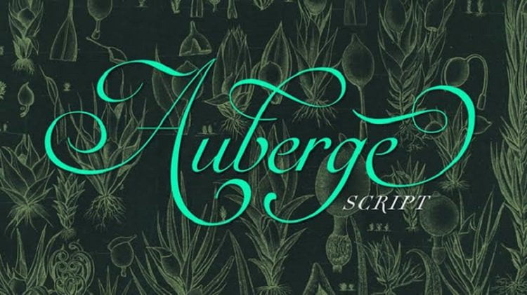 Auberge-Script-Font-Free1.jpg
