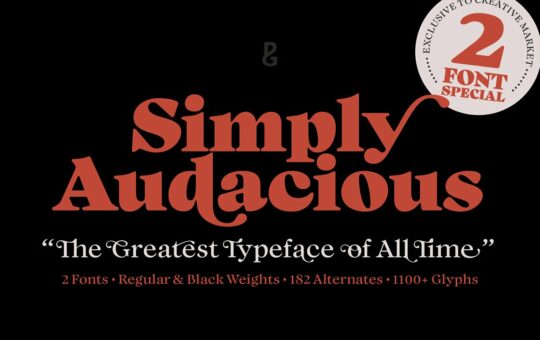 Audacious-Quirky-Serif-Fonts-1.jpg