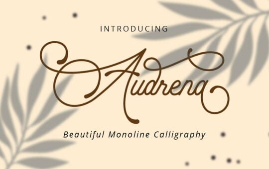 Audrena-Beautiful-Monoline-Font-1.jpg