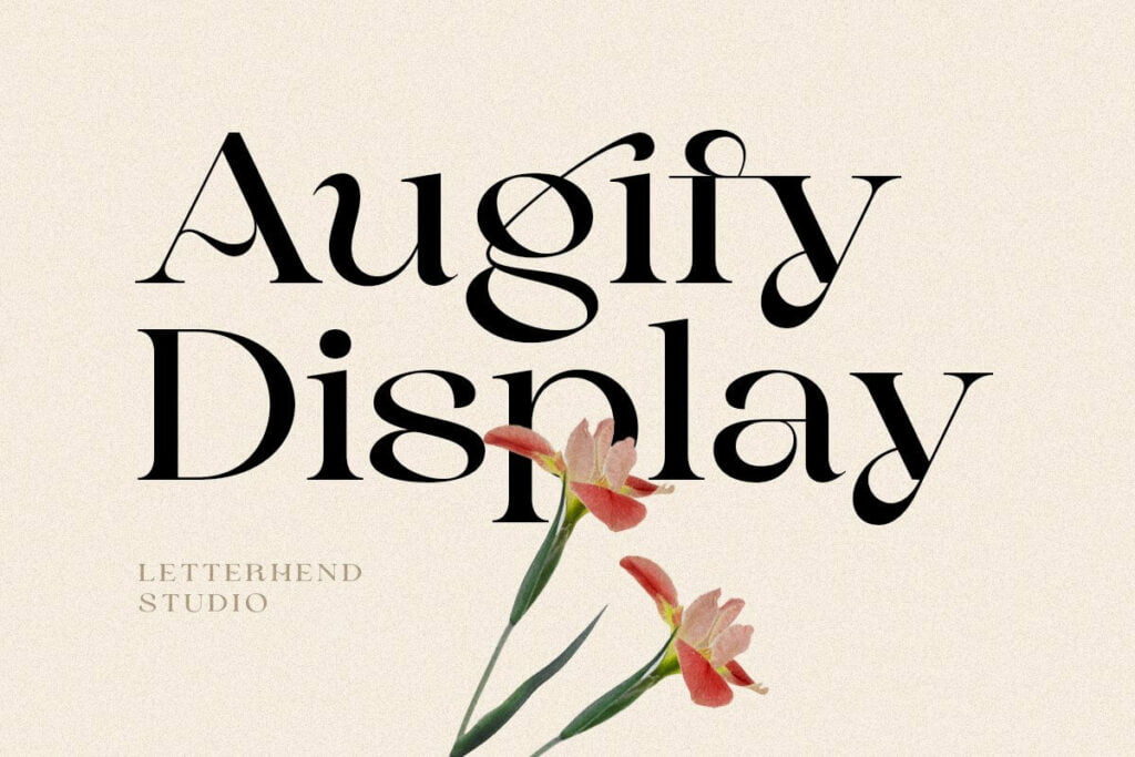 Augify-Display-Serif-Font-1.jpg
