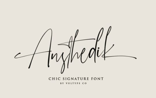 Austhedik-Modern-Signature-Font-1.jpg