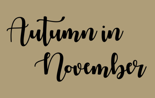 Autumn-in-November-Script-Font-1.png