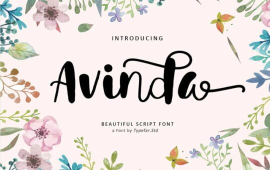 Avinda-Script-Font.jpg