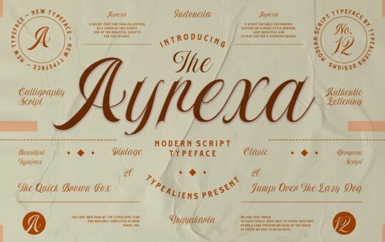 Ayrexa-Script-Font-1.jpg