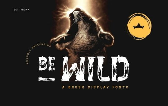 BE-WILD-Brush-Display-Font-1.jpg