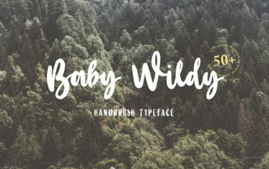 Baby-Wildy-Handwritten-Font.jpg