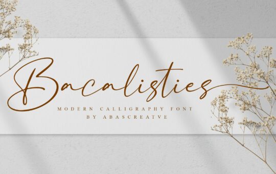 Bacalisties-Handwritten-Script-Font-1.jpg